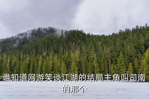 廣州司南天線公司田進(jìn)鋒，誰(shuí)知道網(wǎng)游笑談江湖的結(jié)局主角叫司南的那個(gè)