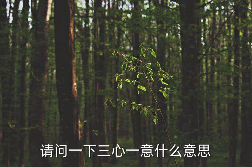 請問一下三心一意什么意思