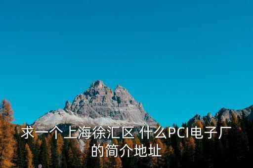求一個上海徐匯區 什么PCI電子廠的簡介地址
