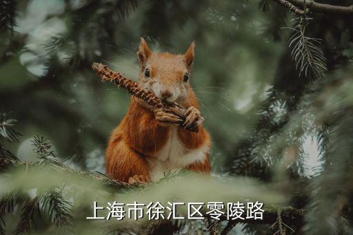 上海市上海天安豪園一期，誰知道上海市閔行區古美街道虹莘路天安豪園3333弄最近的地鐵口是哪