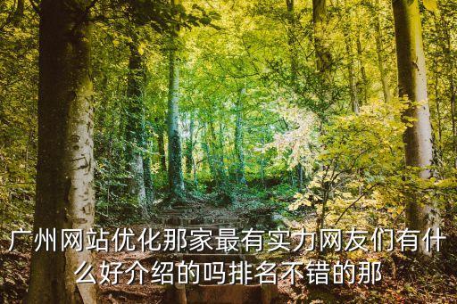 廣州網站優化那家最有實力網友們有什么好介紹的嗎排名不錯的那