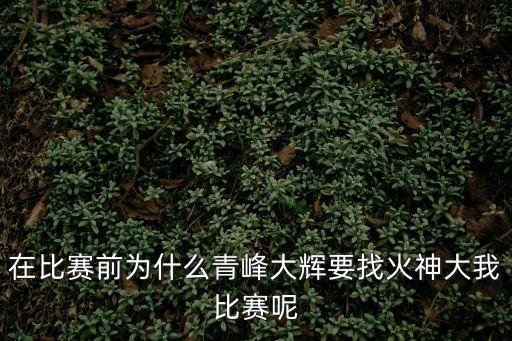 火神大我，火神大我性轉(zhuǎn)的日文