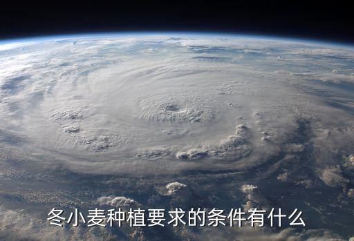 上海市農委對小麥種植要求，小麥精播高產栽培要求每畝適宜的基本苗為多少萬
