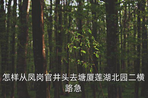 廣州塘廈蓮湖雅苑，請(qǐng)問塘廈蓮湖是哪的