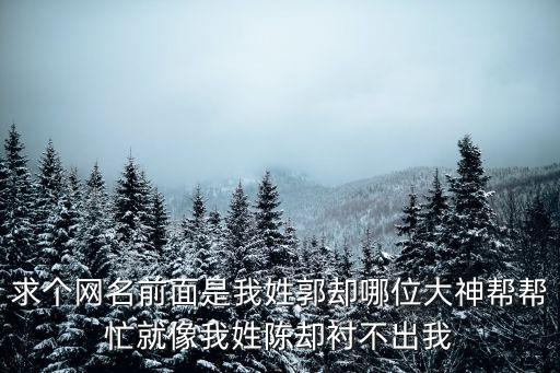 求個(gè)網(wǎng)名前面是我姓郭卻哪位大神幫幫忙就像我姓陳卻襯不出我
