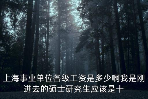 上海市事業單位崗位工資表，求上海事業單位工資調整表