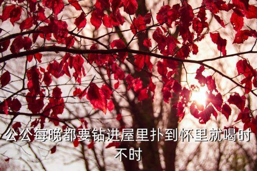 公公愛我，公公每晚都要鉆進屋里撲到懷里就喝時不時