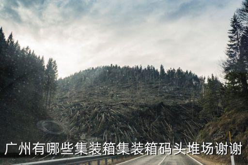 廣州有哪些集裝箱集裝箱碼頭堆場謝謝