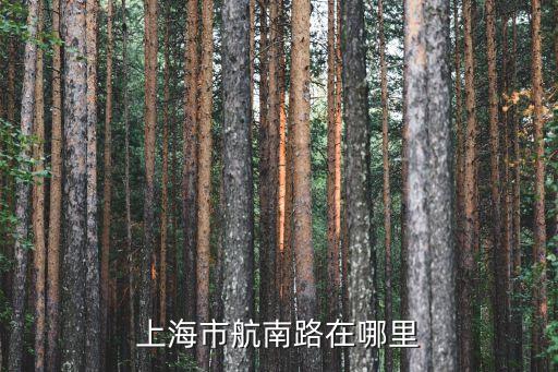 上海市閔行區航南路560號，上海閔行流浪狗收容中心在哪里