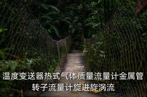 溫度變送器熱式氣體質(zhì)量流量計(jì)金屬管轉(zhuǎn)子流量計(jì)旋進(jìn)旋渦流
