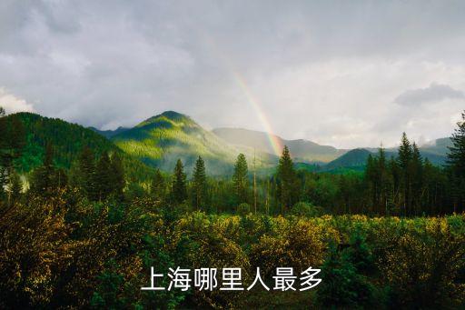 上海市人最多的地方，上海哪里人最多