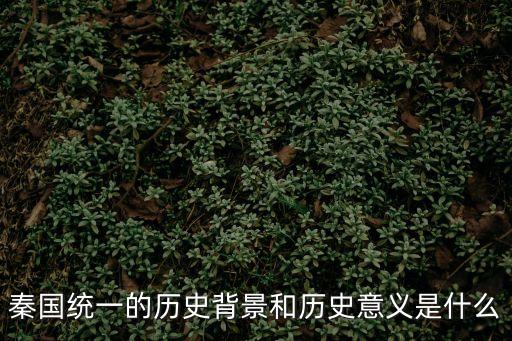 秦國統(tǒng)一的歷史背景和歷史意義是什么