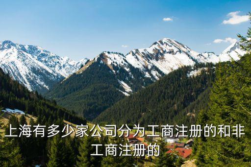 上海市各類企業總數，中國上海有多少企業