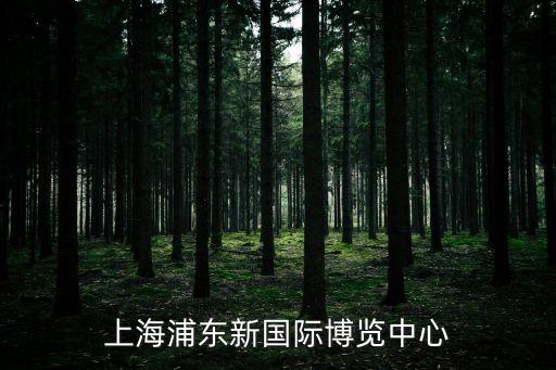 上海市浦東新區蘆亞路8號，上海apple store 地點