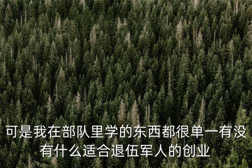 可是我在部隊里學的東西都很單一有沒有什么適合退伍軍人的創業