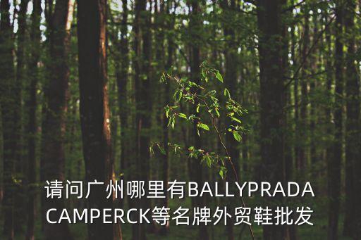 廣州原單頂級(jí)普拉達(dá)，高品質(zhì)的prada的原單包包哪里能買到