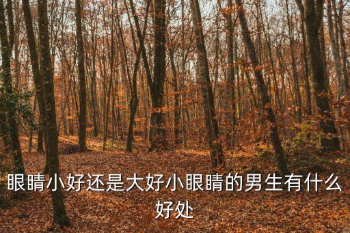 眼睛小好還是大好小眼睛的男生有什么好處