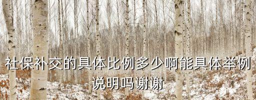 社保補(bǔ)交的具體比例多少啊能具體舉例說明嗎謝謝