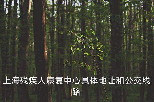 上海市康復(fù)治療質(zhì)控中心，上海市康復(fù)中心哪家環(huán)境好