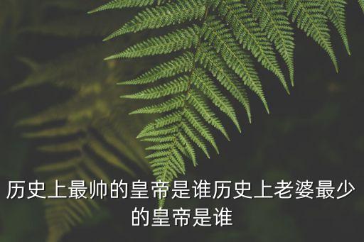 歷史上最帥的皇帝，歷史上最帥的皇帝是誰歷史上老婆最少的皇帝是誰