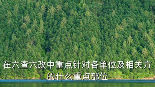 在六查六改中重點針對各單位及相關方的什么重點部位