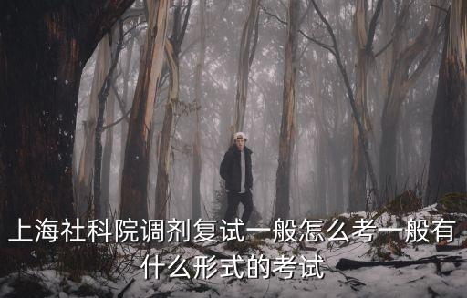 上海社科院調(diào)劑復(fù)試一般怎么考一般有什么形式的考試