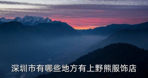 深圳市有哪些地方有上野熊服飾店