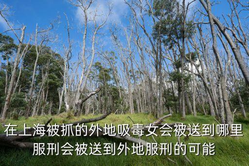 上海市治安總隊(duì)抓的人應(yīng)該是關(guān)在哪里，在上海被抓的外地吸毒女會(huì)被送到哪里服刑會(huì)被送到外地服刑的可能