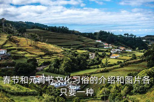 春節和元宵節文化習俗的介紹和圖片各只要一種