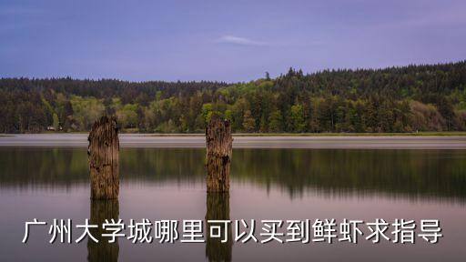 廣州大學(xué)城哪里可以買到鮮蝦求指導(dǎo)
