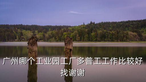 廣州南方工業園工廠，花都獅嶺南方工業園有哪些廠