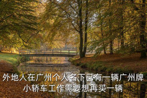外地人在廣州個(gè)人名下已有一輛廣州牌小轎車工作需要想再買一輛