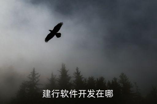 建行軟件開發(fā)在哪