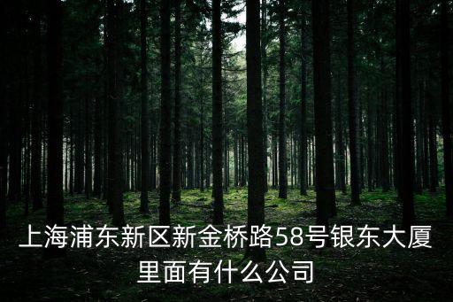 上海市新金橋路 和睦家，上海和睦家醫院在哪