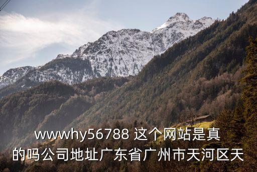 廣州青年法律論壇官網，wwwhy56788 這個網站是真的嗎公司地址廣東省廣州市天河區天