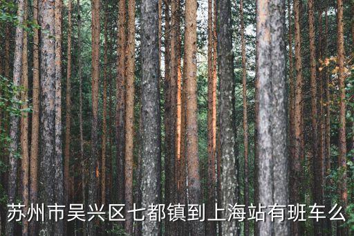吳興上海市，蘇州市吳興區七都鎮到上海站有班車么