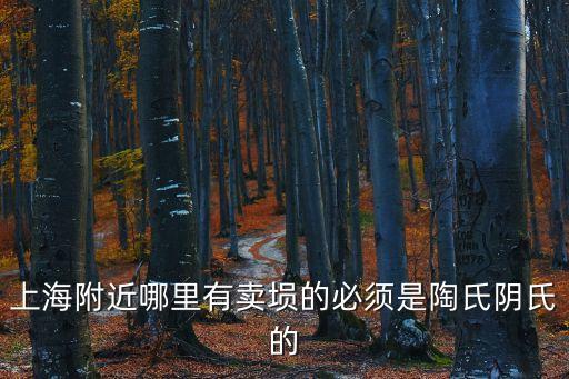 上海附近哪里有賣(mài)塤的必須是陶氏陰氏的