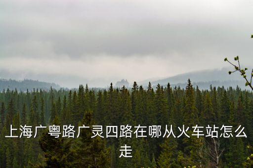 上海廣粵路廣靈四路在哪從火車站怎么走