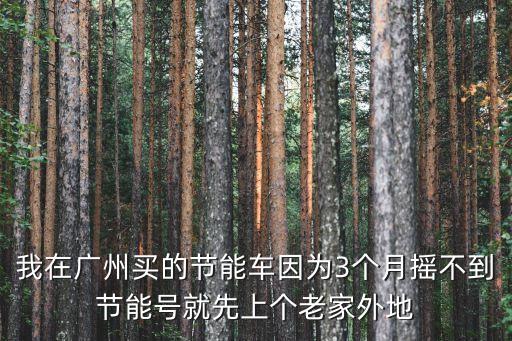 我在廣州買的節(jié)能車因?yàn)?個(gè)月?lián)u不到節(jié)能號(hào)就先上個(gè)老家外地
