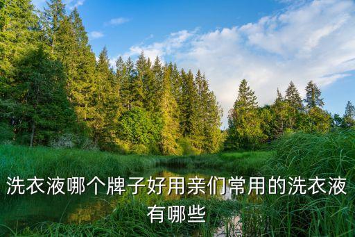 洗衣液排名前十，洗衣液哪個牌子好用親們常用的洗衣液有哪些