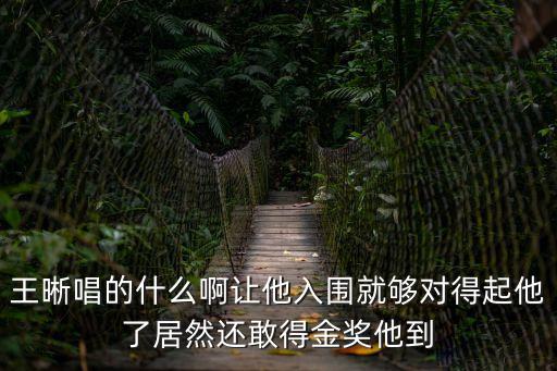 王晰唱的什么啊讓他入圍就夠?qū)Φ闷鹚司尤贿€敢得金獎他到