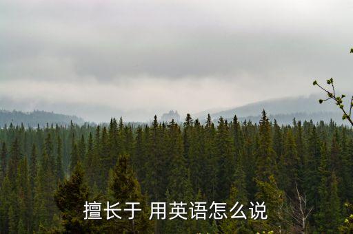 擅長于 用英語怎么說