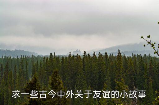 關(guān)于友情的故事，關(guān)于友誼的感人故事