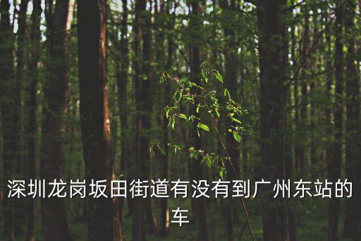 深圳坂田到廣州東火車站，深圳龍崗坂田街道有沒有到廣州東站的車