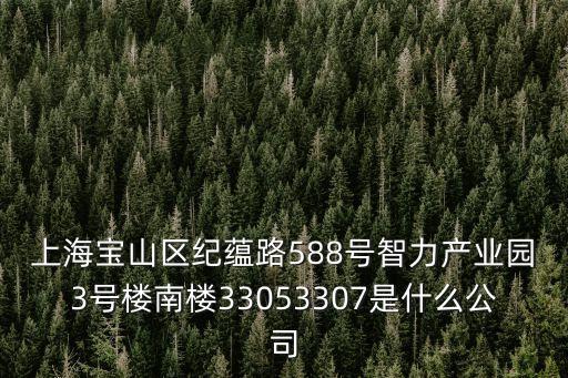上海寶山區紀蘊路588號智力產業園3號樓南樓33053307是什么公司