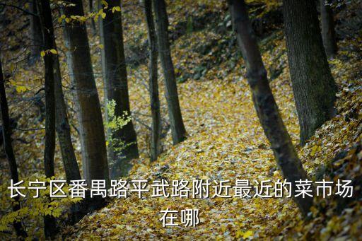 長寧區(qū)番禺路平武路附近最近的菜市場在哪
