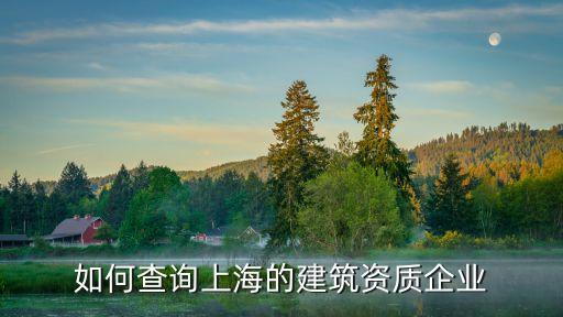 上海市開發商資質查詢，怎么查 樓盤 的 資質證書