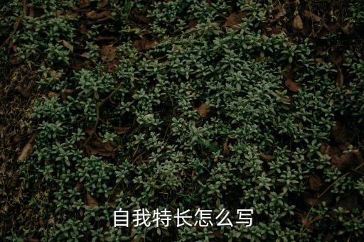我的特長，個人專長怎么寫