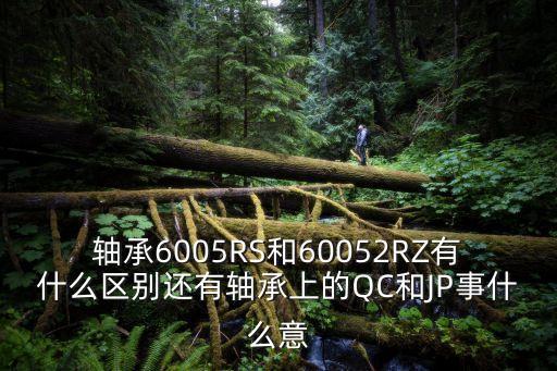 軸承6005RS和60052RZ有什么區別還有軸承上的QC和JP事什么意