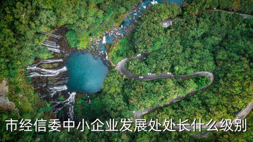 上海市經(jīng)信委產(chǎn)業(yè)處處長(zhǎng)，上海六大支柱性產(chǎn)業(yè)是什么